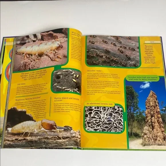 Master Books God's Big Book of Animals - Educational Book for Kids-Homeschool - Picture 9 of 16